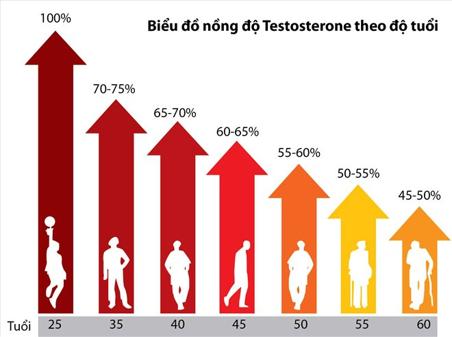 Sự suy giảm nồng độ testosterone dẫn đến giảm chức năng sinh lý ở các quý ông 