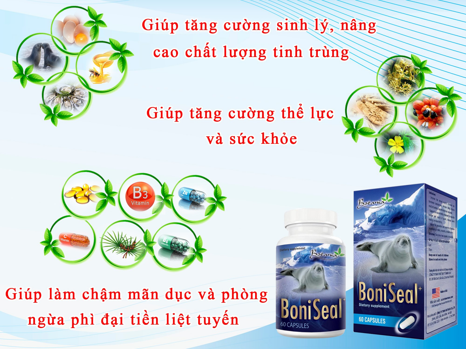 Thành phần và công dụng của BoniSeal +