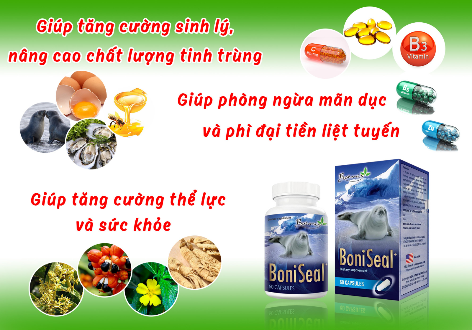 Thành phần toàn diện của BoniSeal +