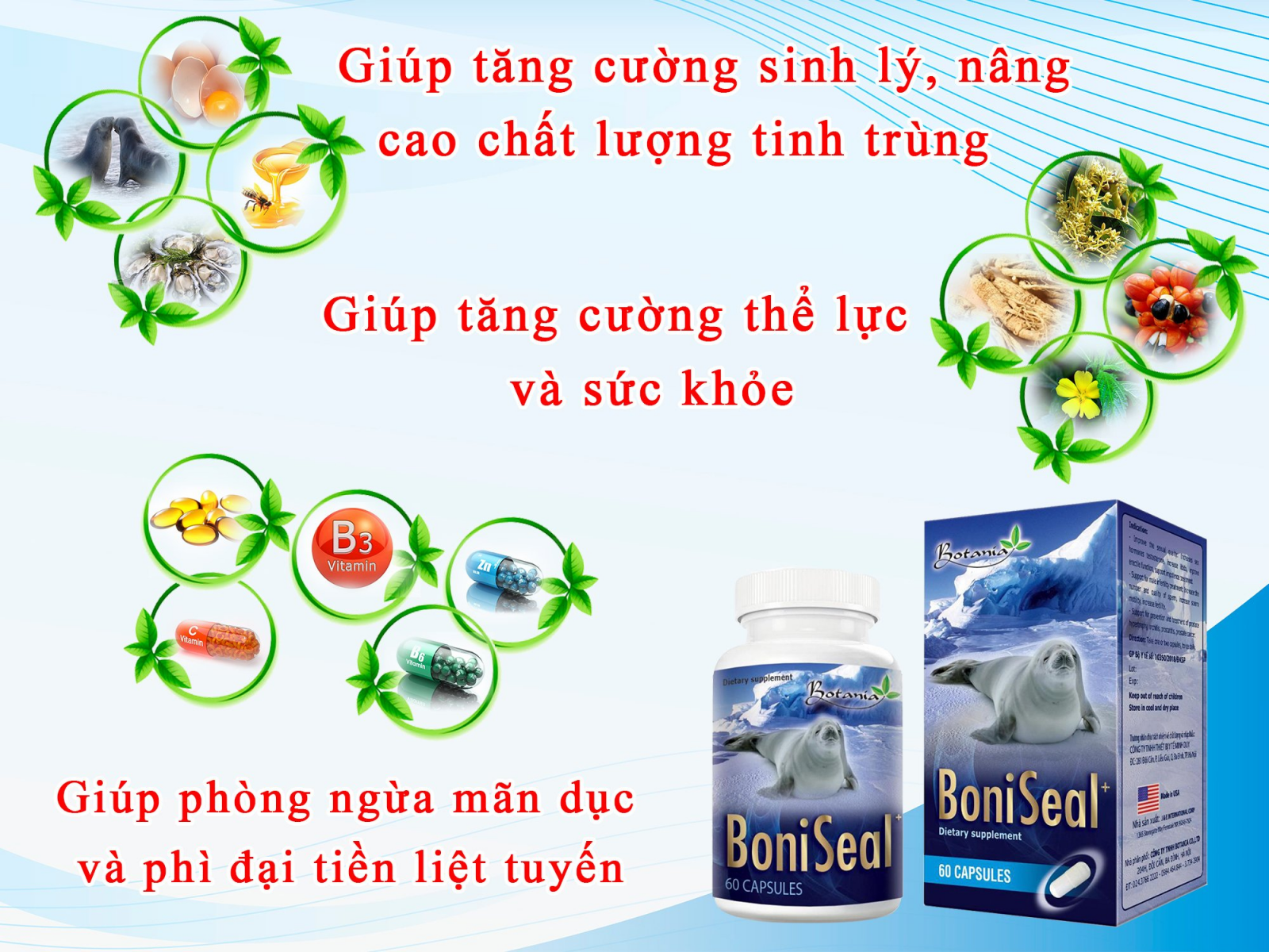  Công dụng của sản phẩm BoniSeal +