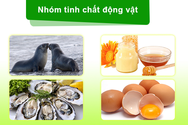 Nhóm tinh chất động vật trong BoniSeal