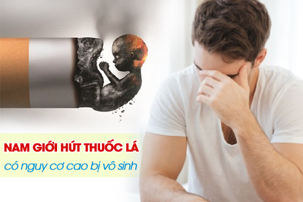 Nam giới hút thuốc lá có nguy cơ cao bị vô sinh