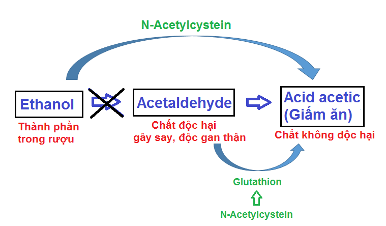 Tác dụng tuyệt vời của N-Acetylcysteine