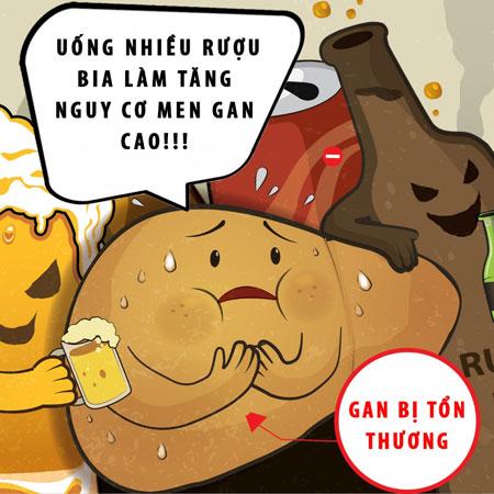 Men gan tăng cao do uống nhiều bia rượu, làm sao để bảo vệ gan?