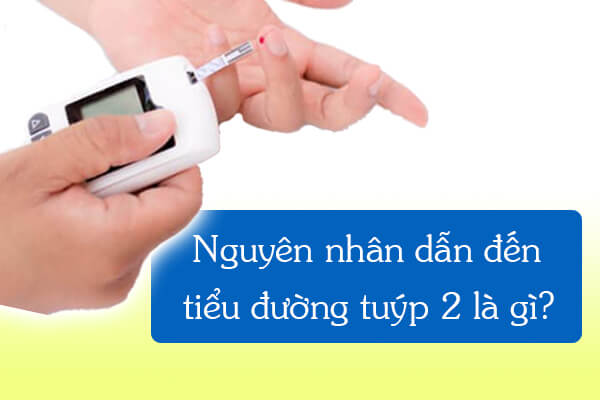 Nguyên nhân dẫn đến tiểu đường type 2 là gì?