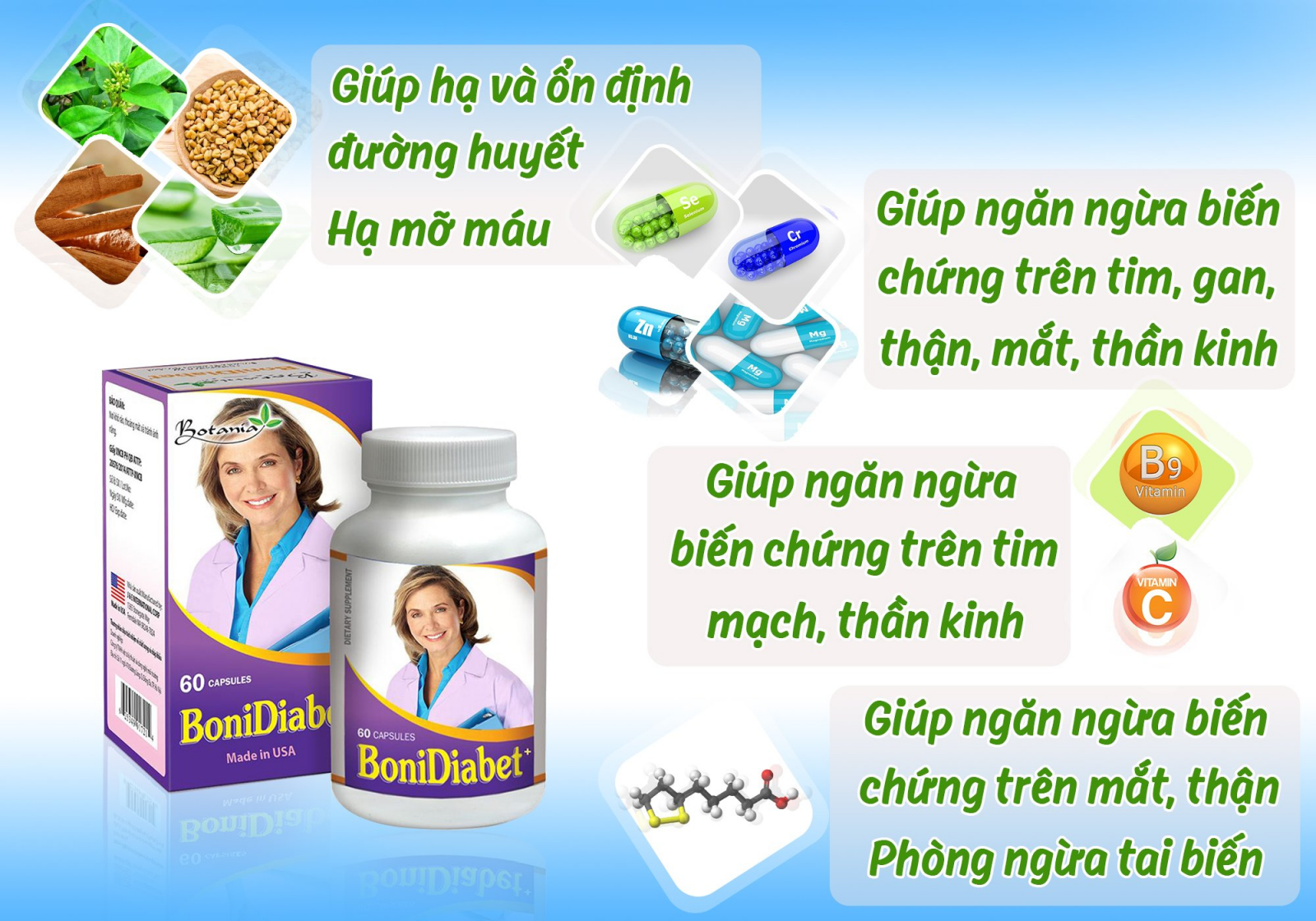    Thành phần của BoniDiabet +