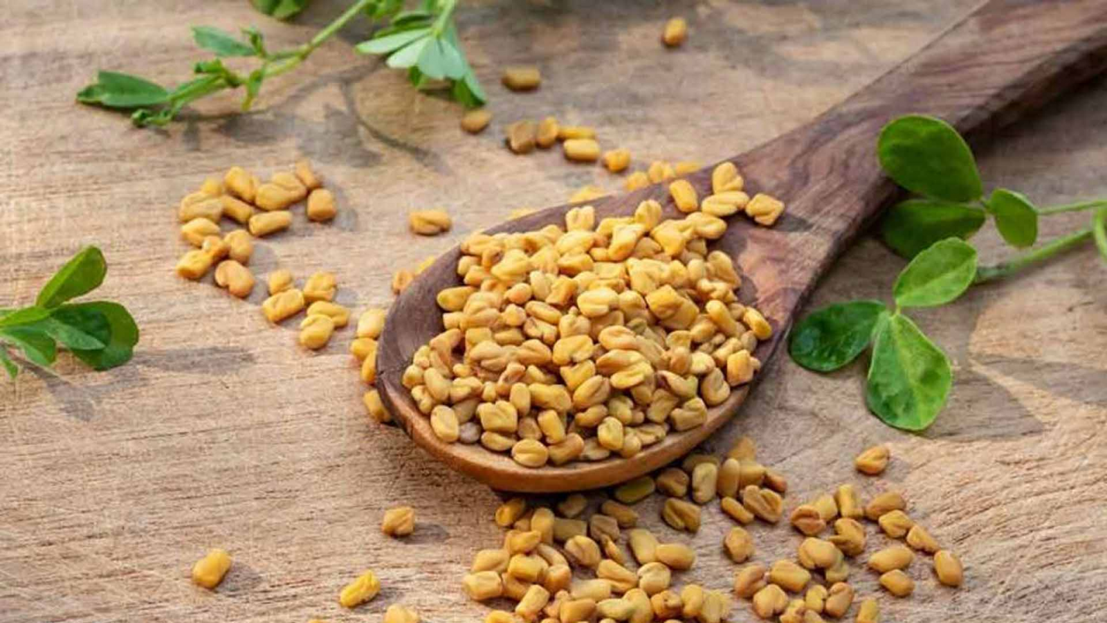 Hạt methi trong BoniDiabet giúp hạ đường huyết hiệu quả