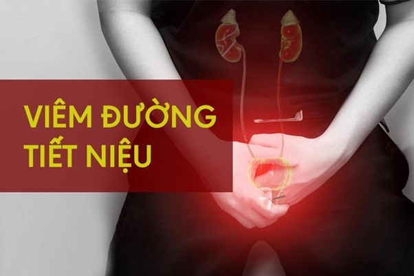  Kiến bu vào nước tiểu có thể do người bệnh bị viêm đường tiết niệu