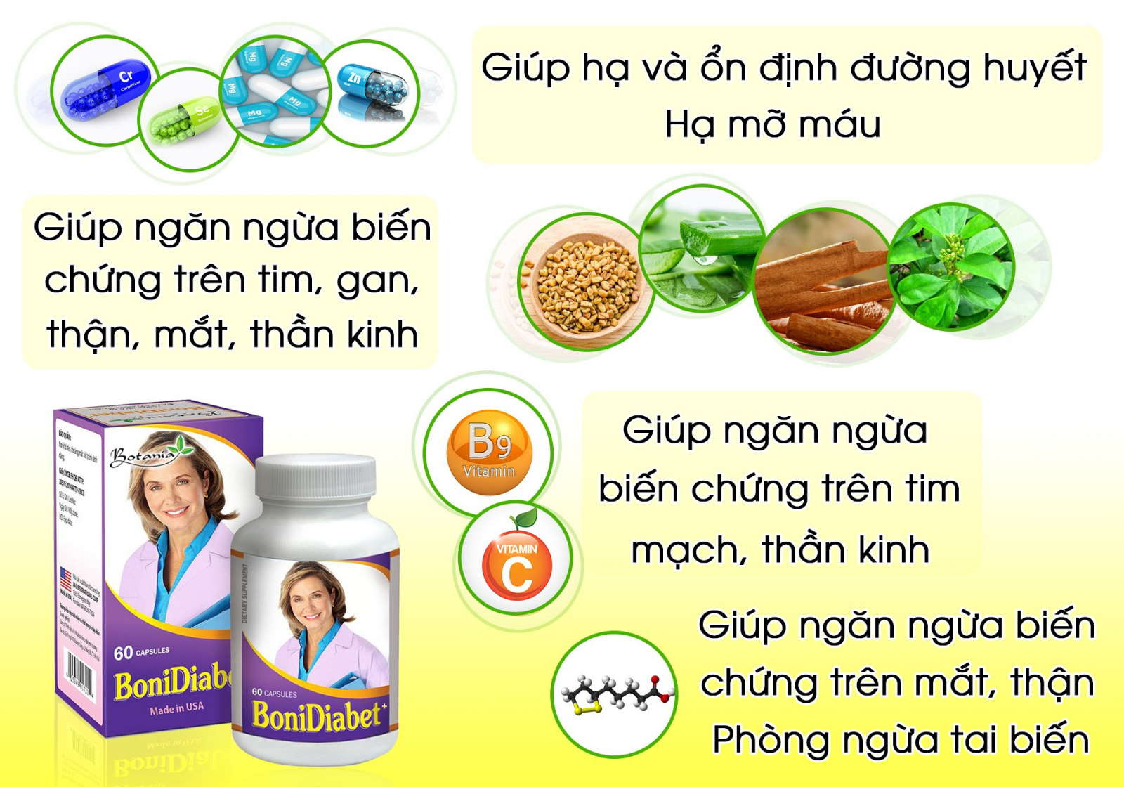 Thành phần toàn diện của sản phẩm BoniDiabet +