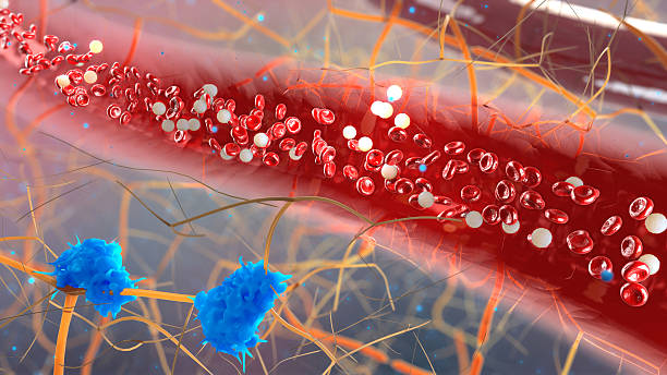 Khi lượng đường tăng cao trong máu sẽ kéo theo tình trạng tăng cholesterol toàn phần