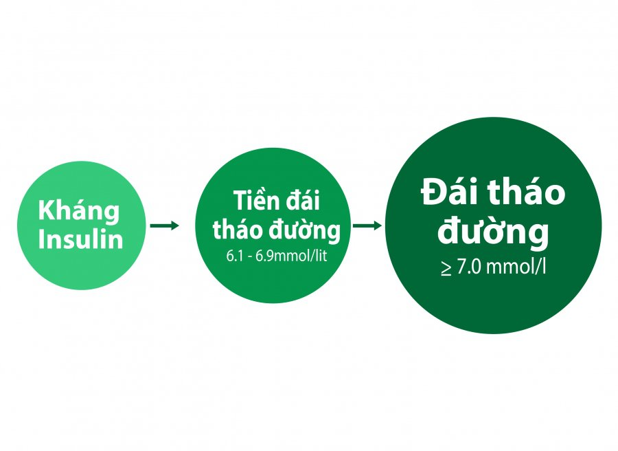 Rối loạn chuyển hóa lipid máu là dấu hiệu chỉ điểm sớm tình trạng đề kháng insulin