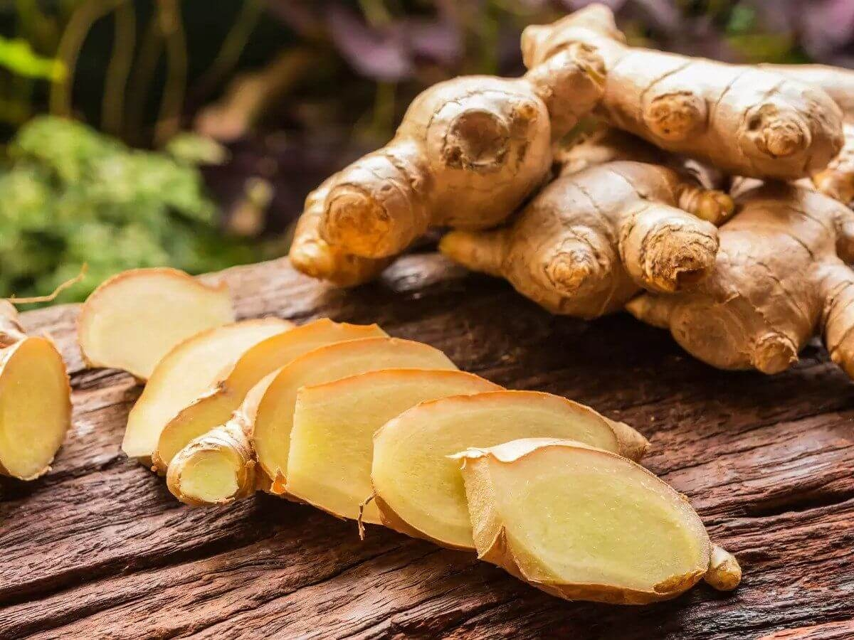 Bệnh gút dùng gừng có tốt không?