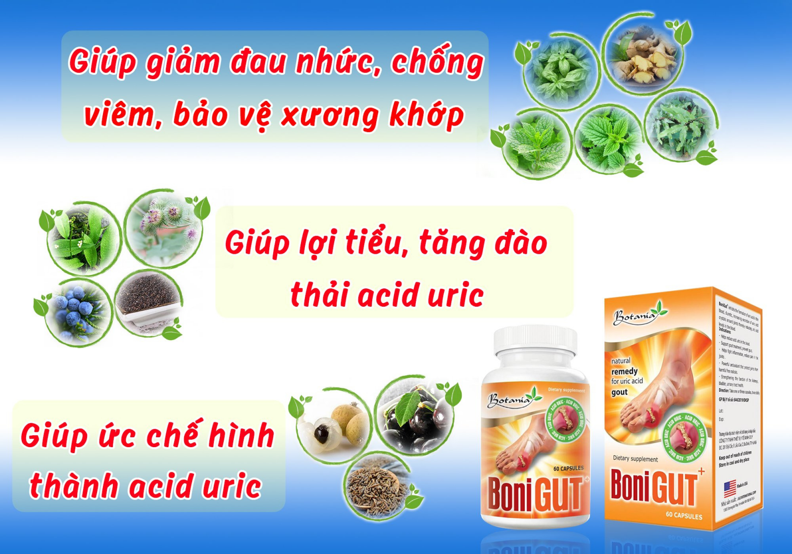 Công thức toàn diện của BoniGut +