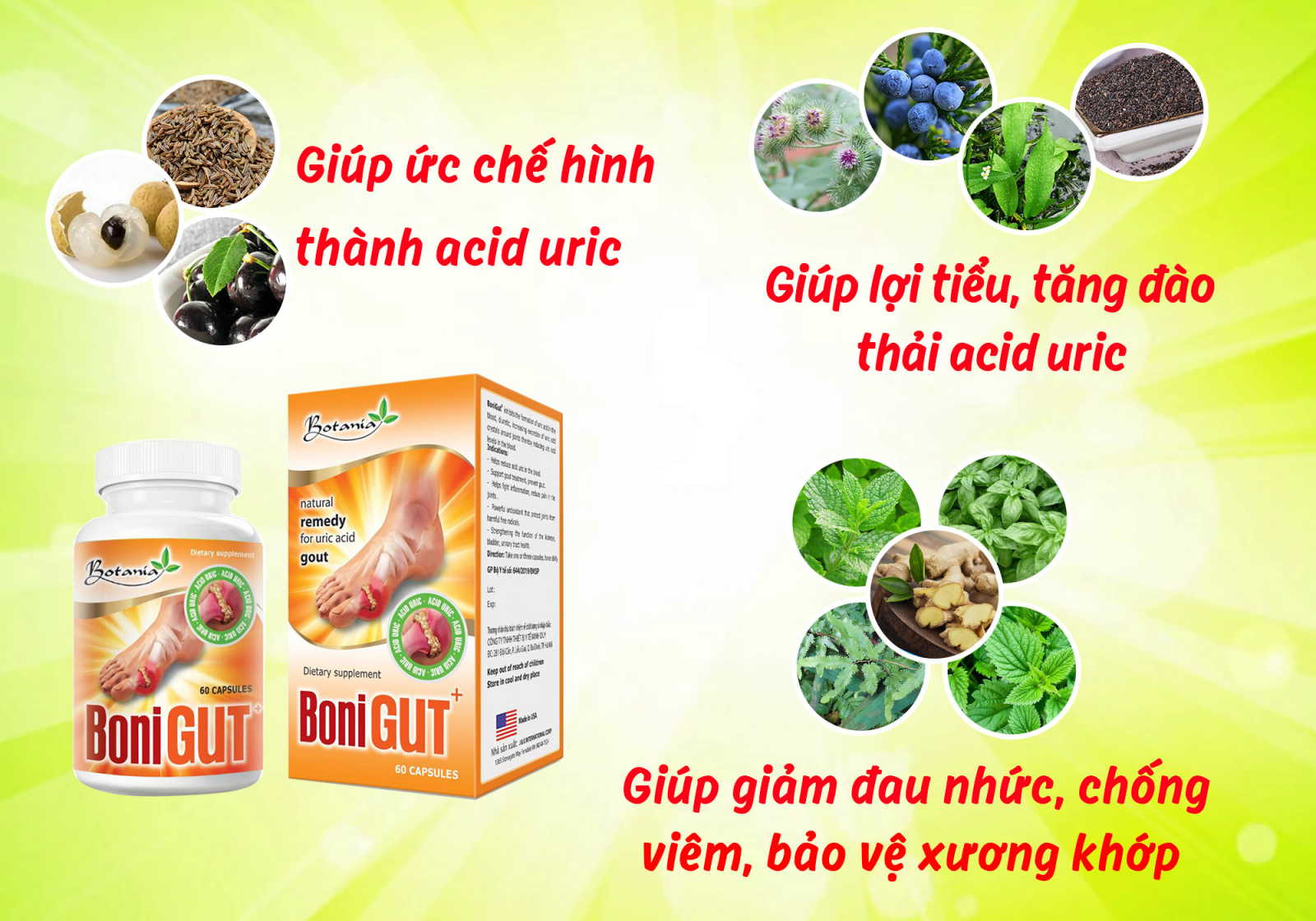 Công dụng của BoniGut +