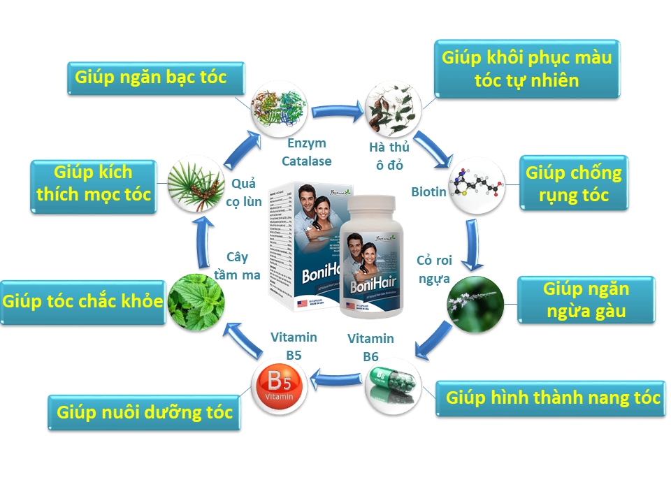 Công thức toàn diện của BoniHair