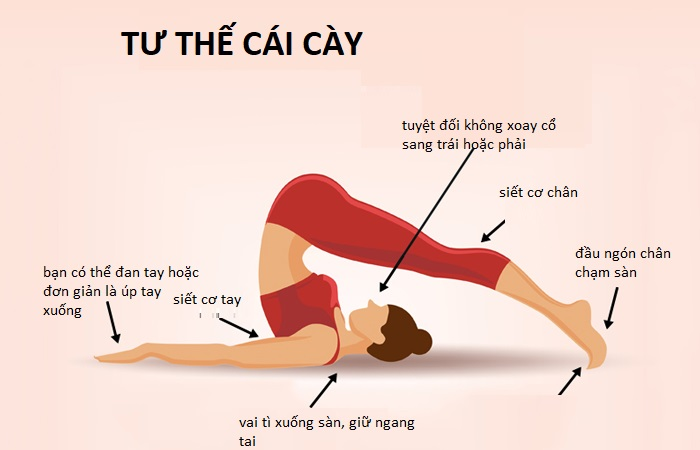 Bài tập yoga với tư thế cái cày