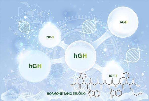 Hormone tăng trưởng là chìa khóa để đẩy lùi mất ngủ mãn tính