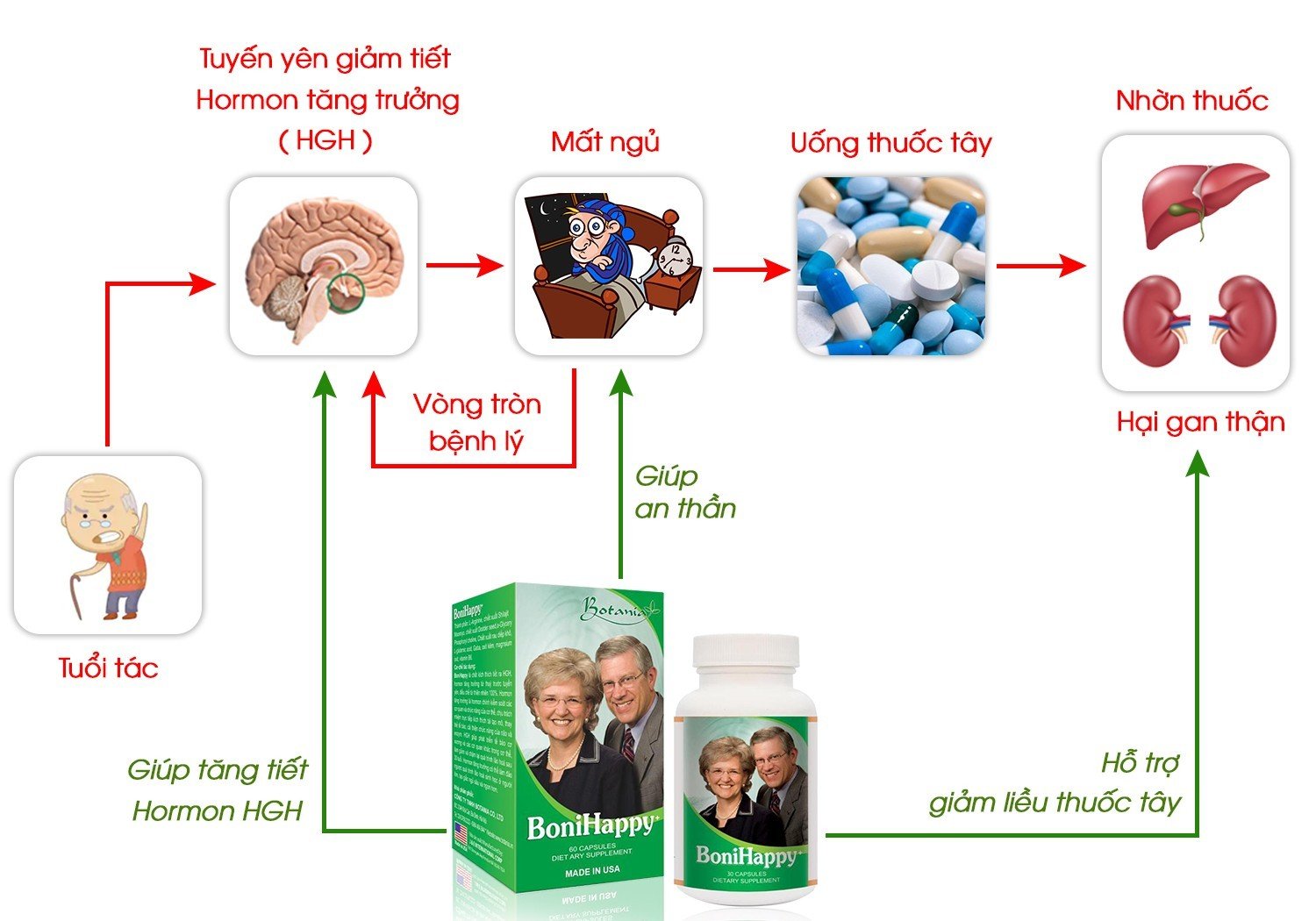 Cơ chế tác dụng của sản phẩm BoniHappy + 