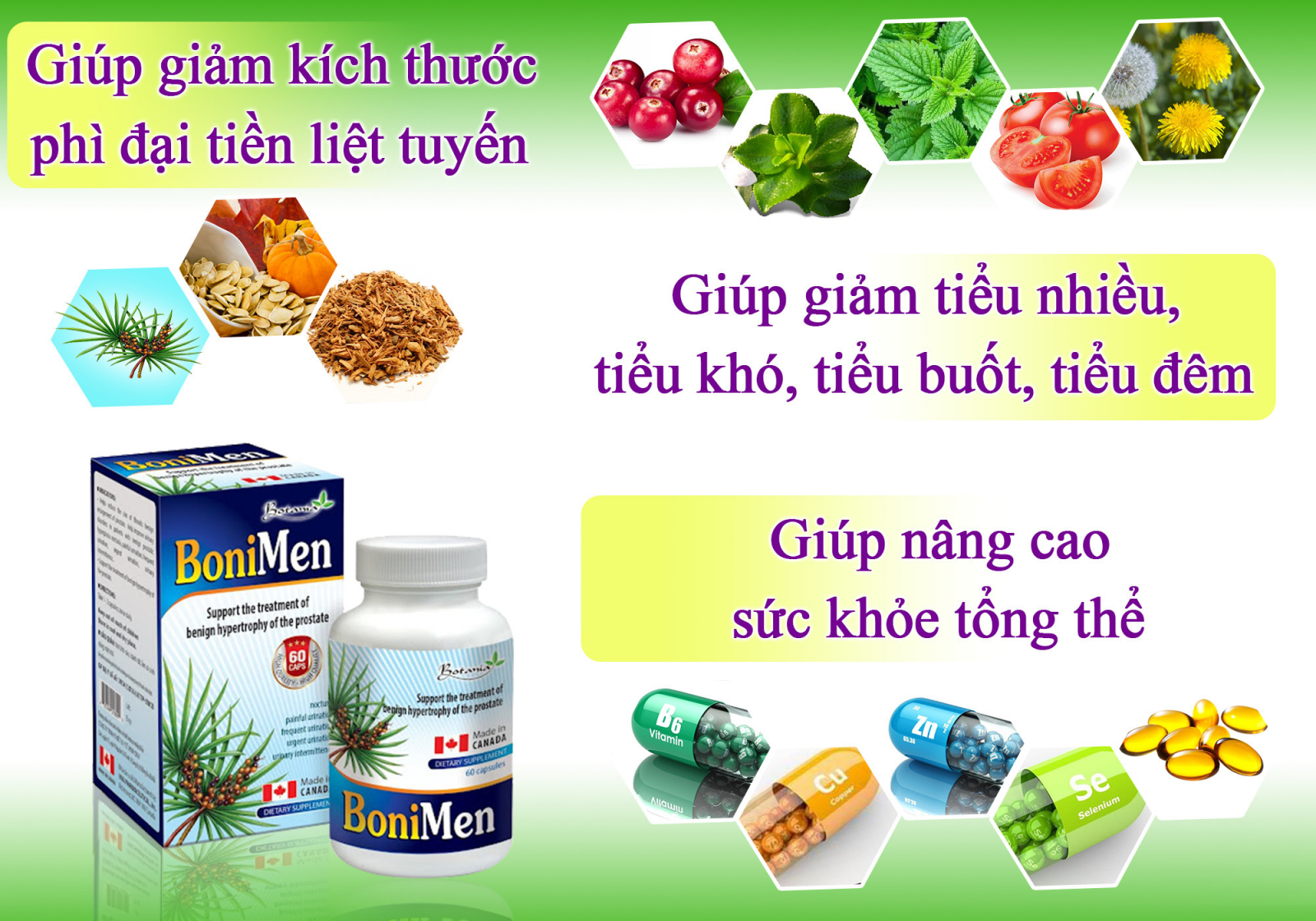 Công thức thành phần toàn diện của BoniMen