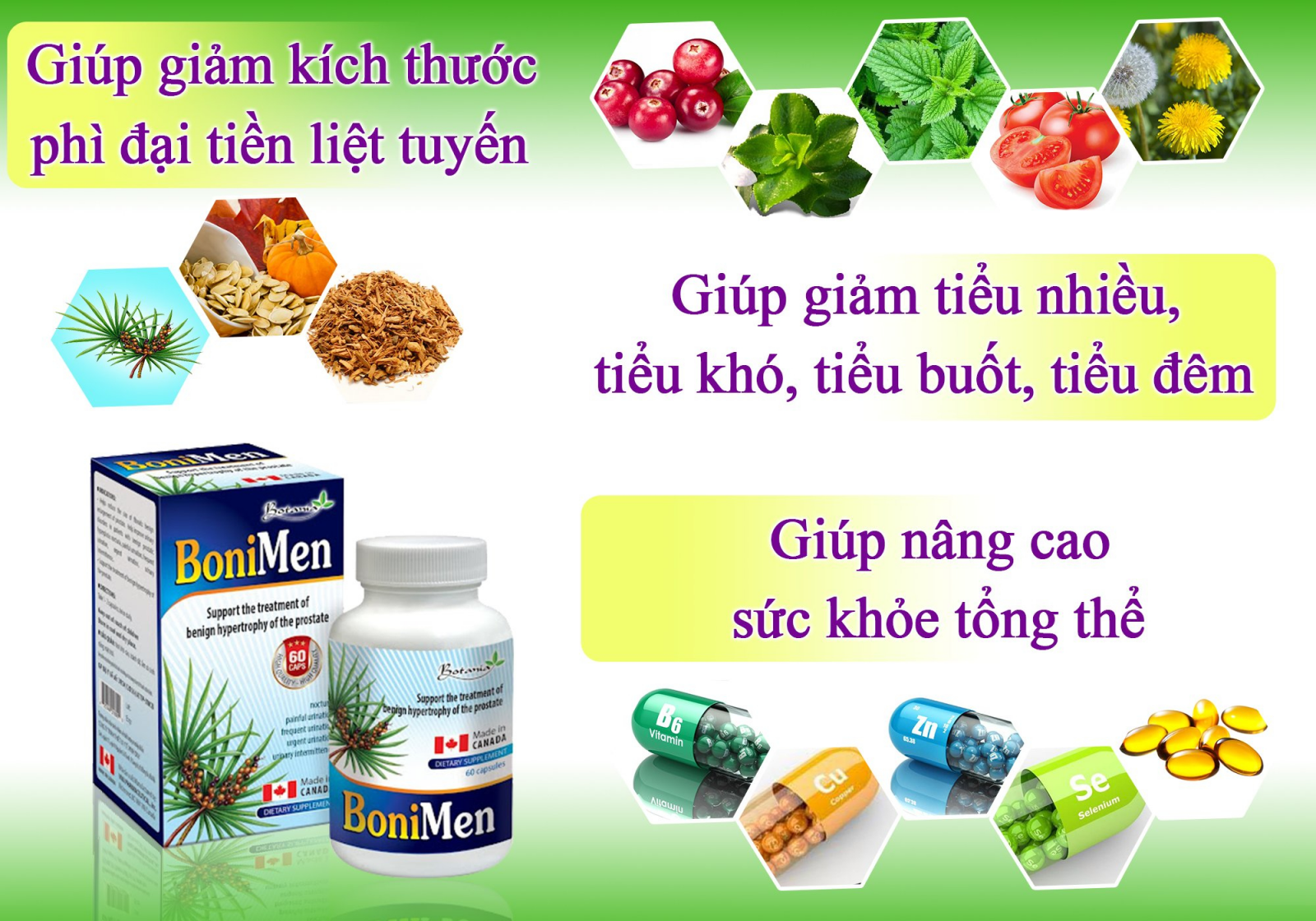 Các thành phần tạo nên công dụng toàn diện của BoniMen