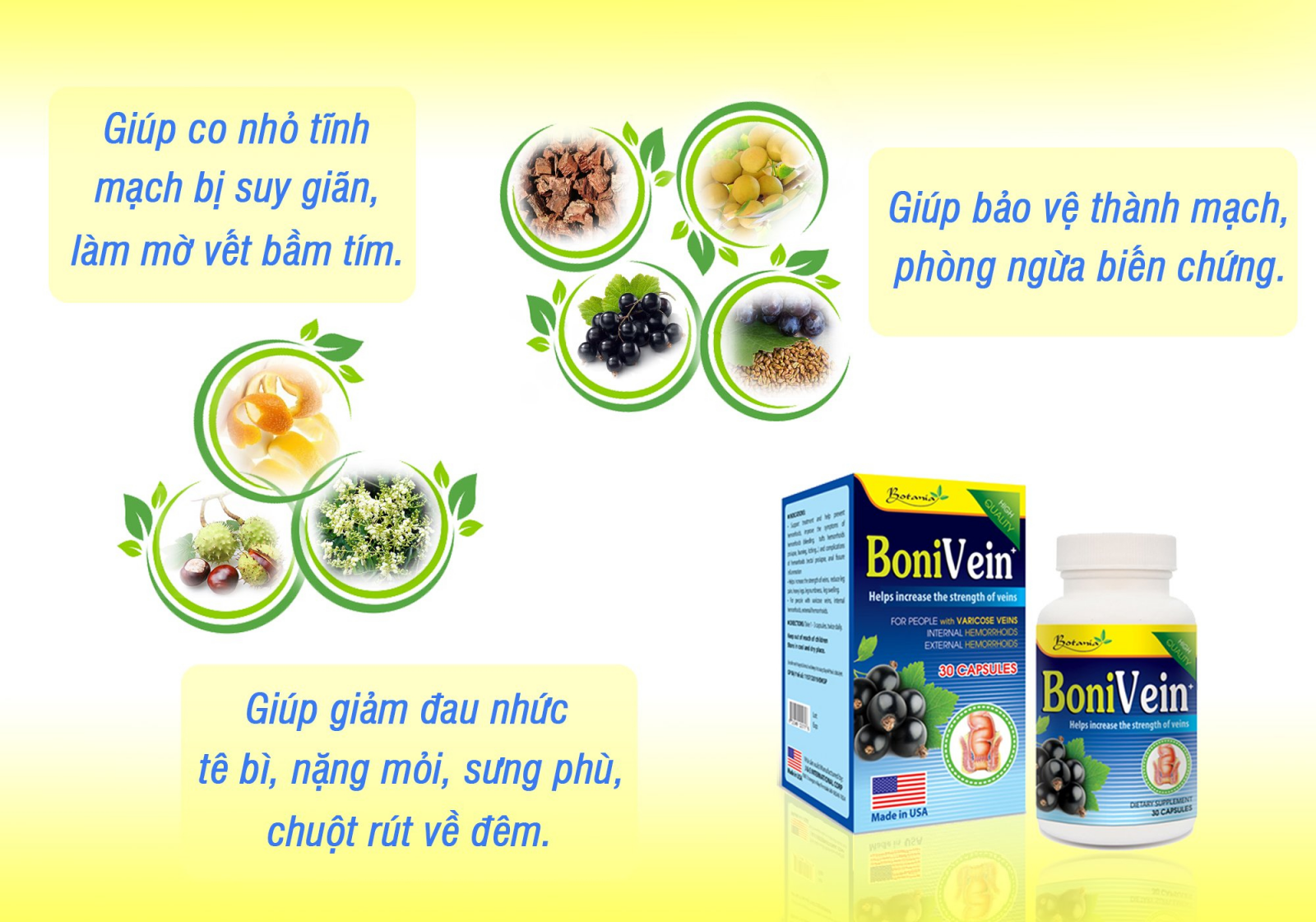 Công thức thành phần toàn diện của BoniVein +