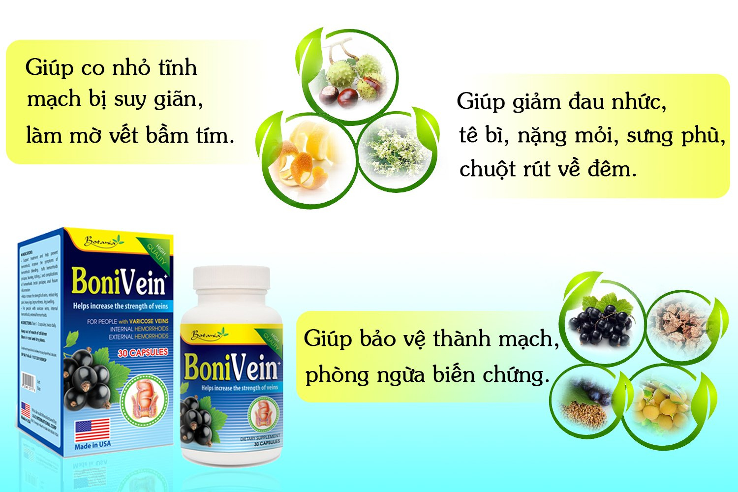 Công thức thành phần toàn diện của BoniVein +