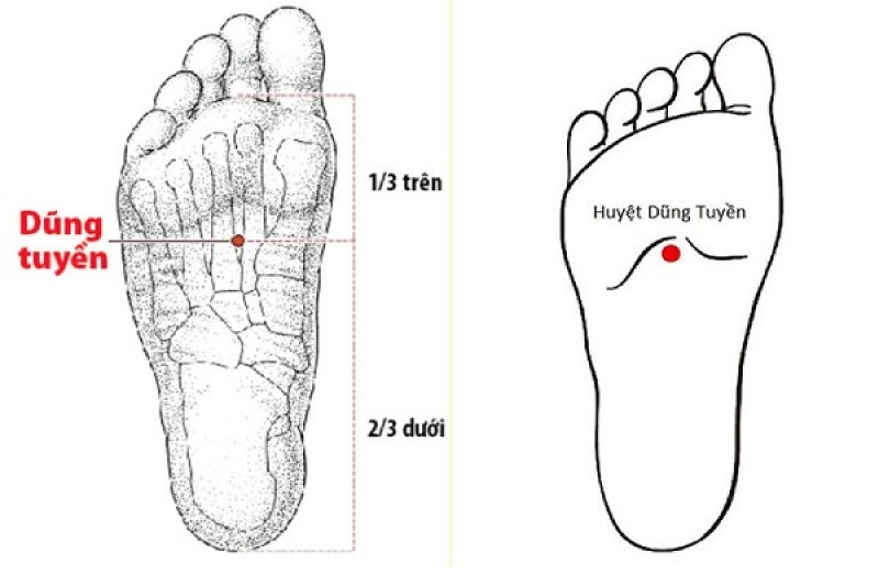 Vị trí huyệt dũng tuyền