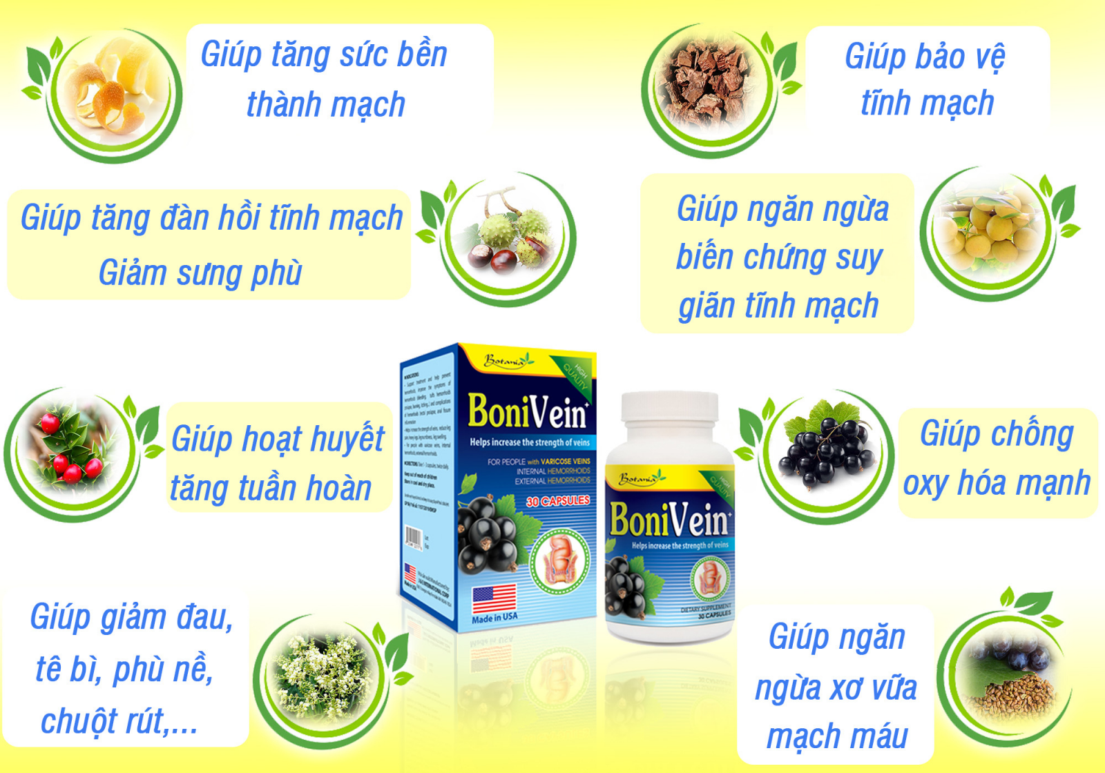 Tác dụng toàn diện của BoniVein +  