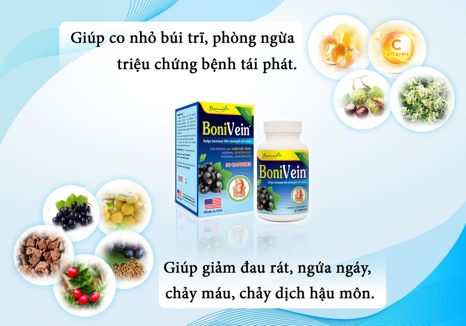 Thành phần BoniVein +