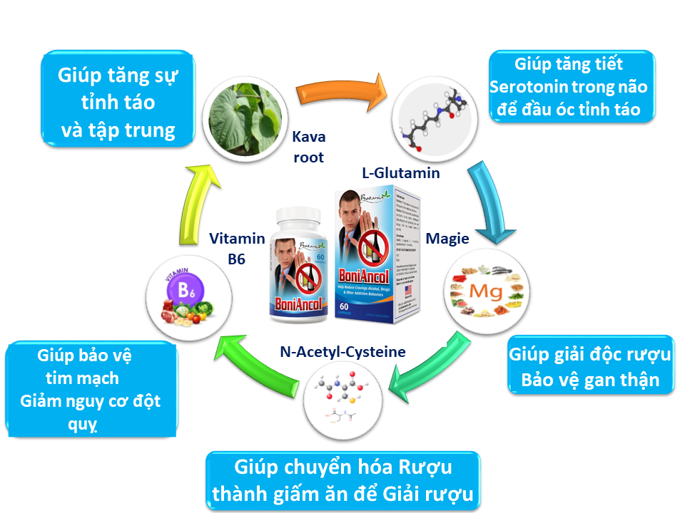 Thành phần của sản phẩm giải rượu BoniAncol+