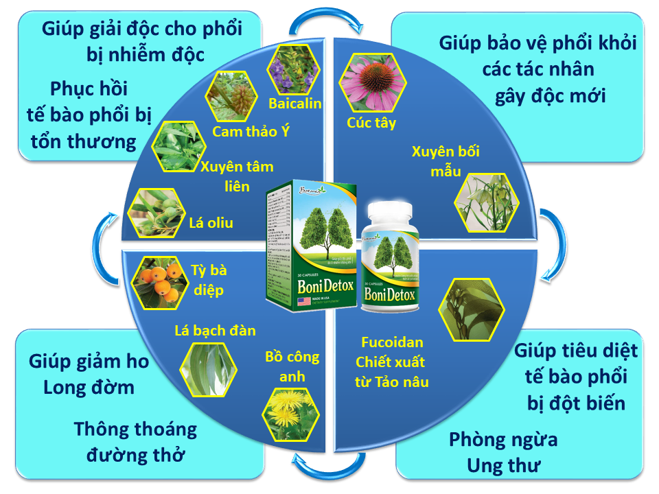 Thành phần, tác dụng của BoniDetox