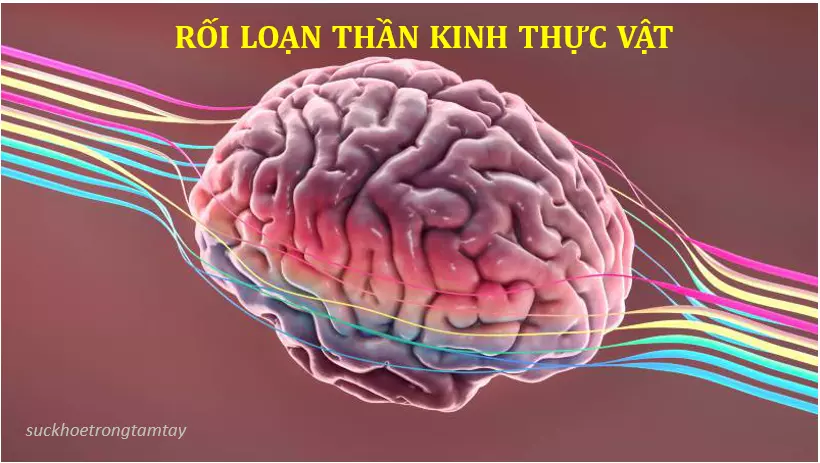 Rối loạn thần kinh thực vật: định nghĩa, nguyên nhân, cách điều trị