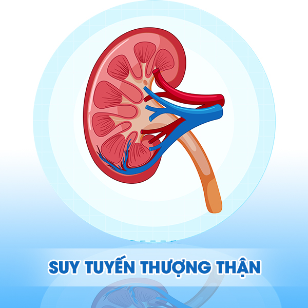 Suy tuyến thượng thận có nguy hiểm không? Nguyên nhân, triệu chứng, và cách điều trị