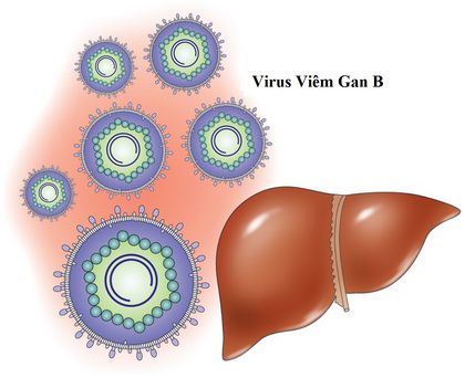 Viêm gan B: Phòng tránh và điều trị thế nào cho đúng?